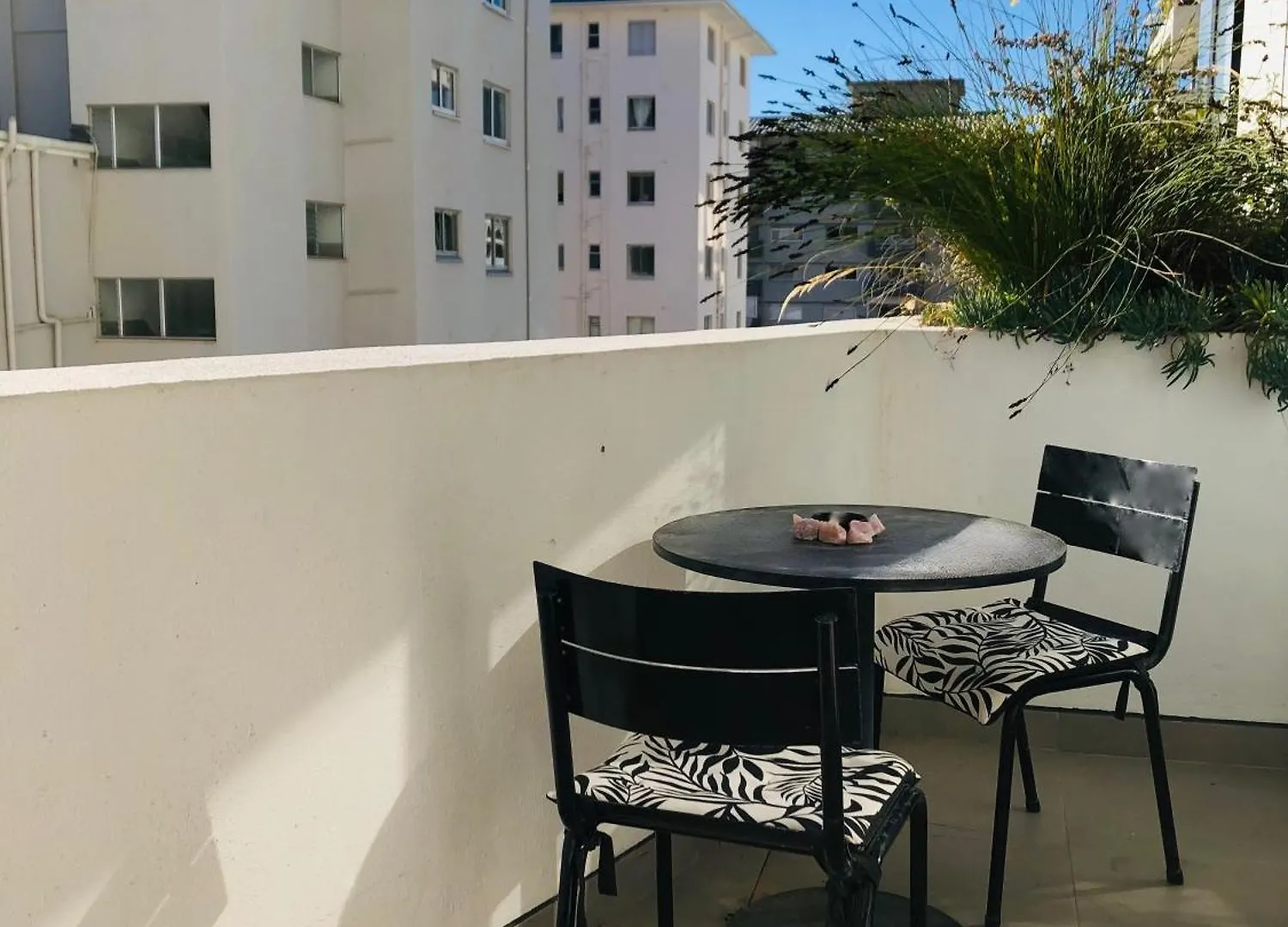Stay Blissful At The Flamingo Cape Town South Africa